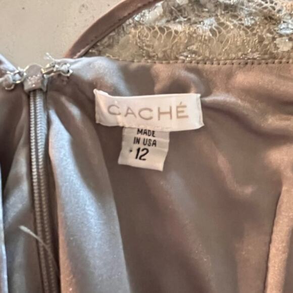 CACHE Champaign Metallic Threaded Lace Empire Waist Evening Cocktail Dress Sz 12 - Picture 9 of 15
